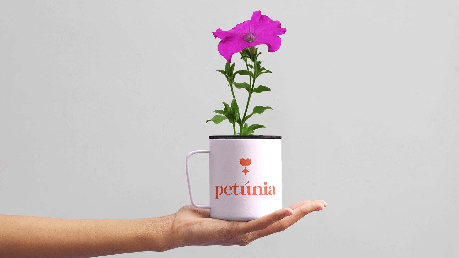 Petúnia